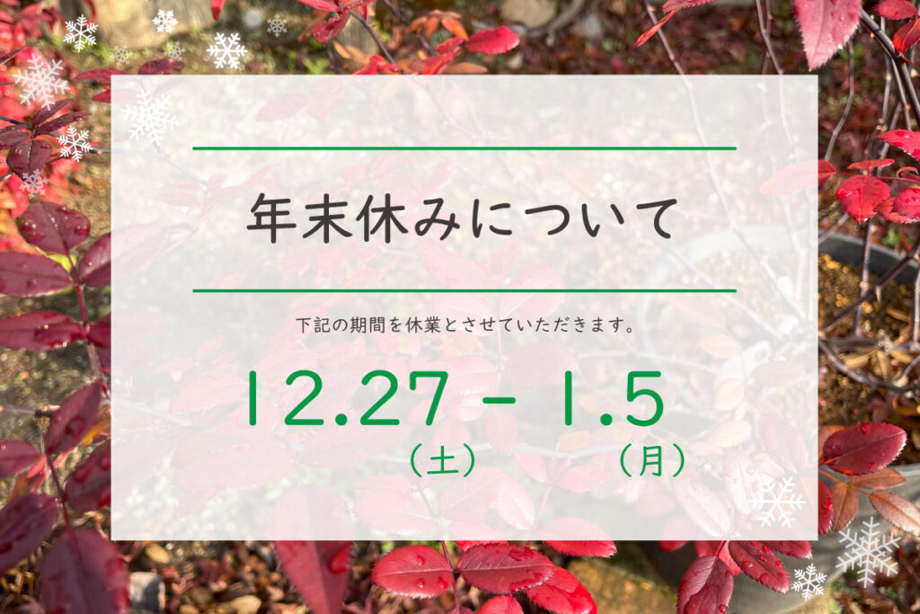 12月上旬発送 年末年始のお休みと見学について | 河本バラ園-KawamotoRoseGarden-