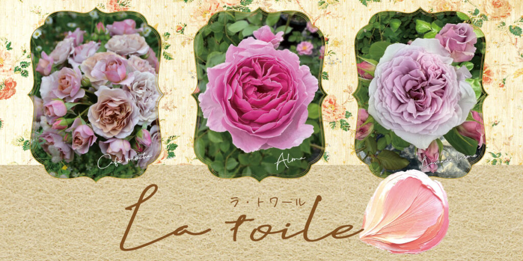 品種ラインナップ | 河本バラ園-KawamotoRoseGarden-